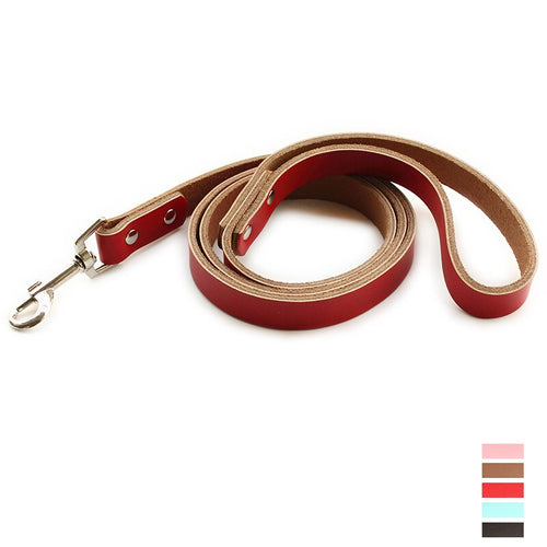 Leather Simple Leash