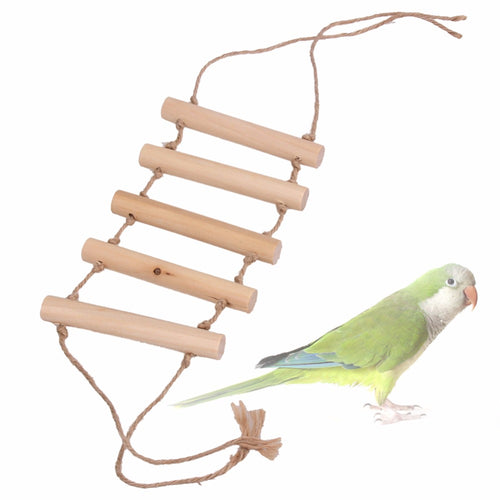 Wooden Small Parrot Toy