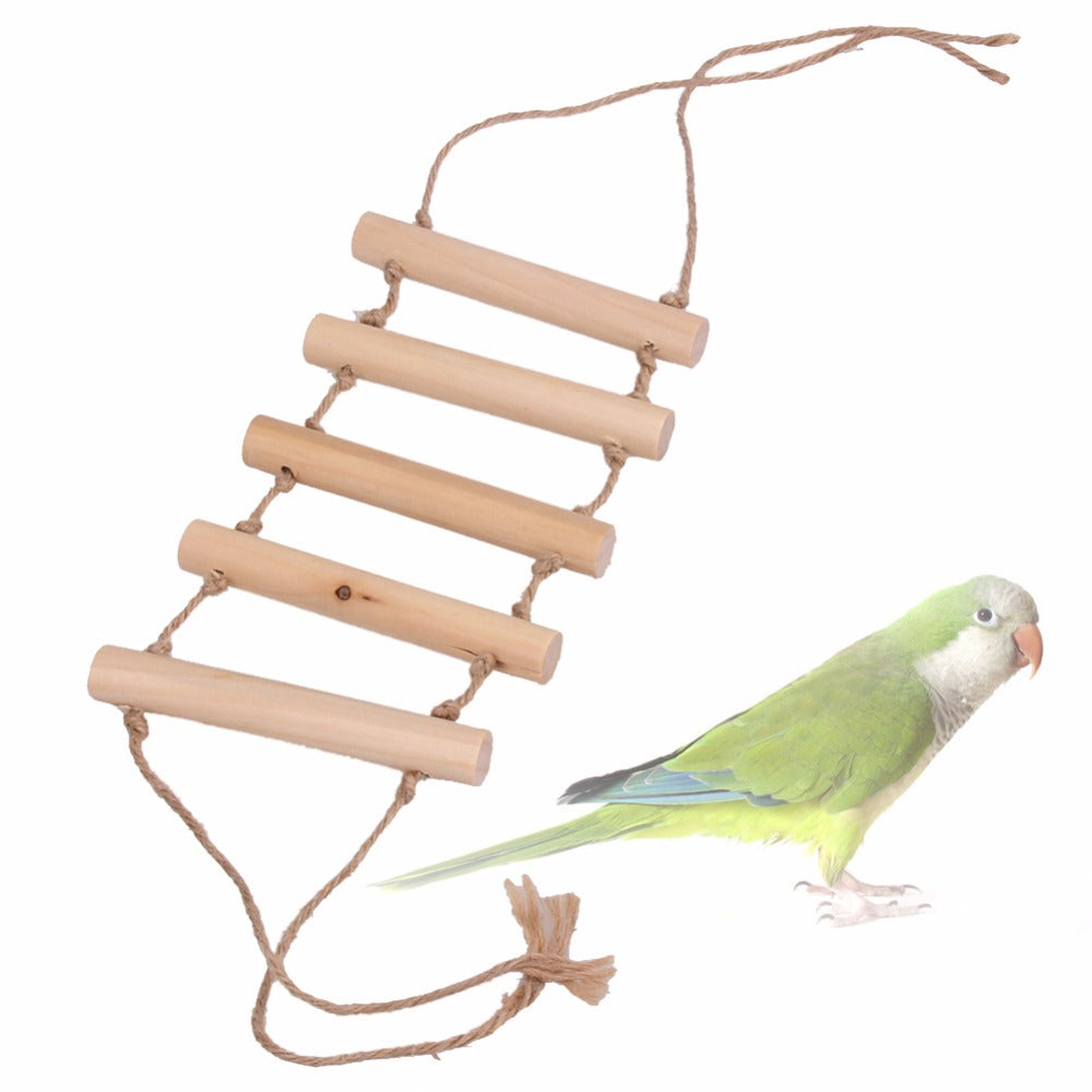 Wooden Small Parrot Toy
