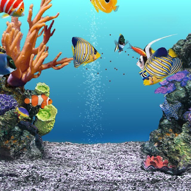 Healing Natural Stones for Aquarium