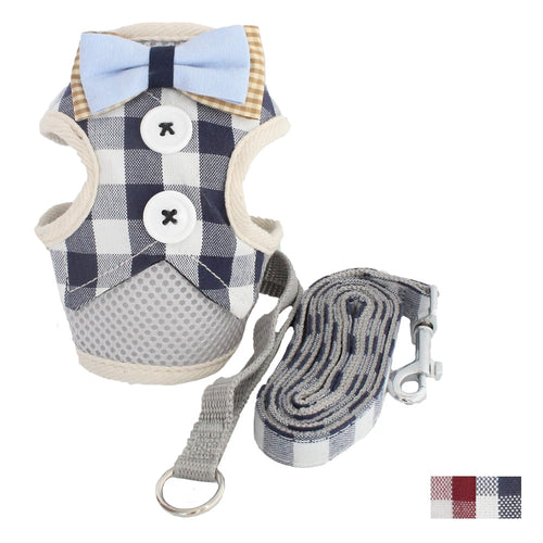 Cute Square Dog Harness