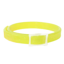 Load image into Gallery viewer, Anti Flea Collar