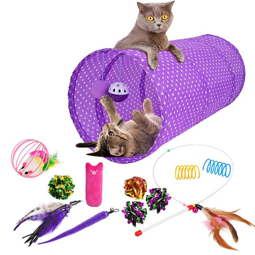Pet Toy Set 