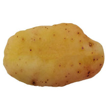 Load image into Gallery viewer, Creative Pet Toy Vegetable