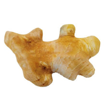 Load image into Gallery viewer, Creative Pet Toy Vegetable