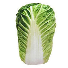 Load image into Gallery viewer, Creative Pet Toy Vegetable