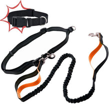 Load image into Gallery viewer, Dog Leash Reflective