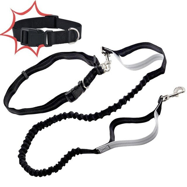 Dog Leash Reflective
