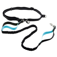 Load image into Gallery viewer, Dog Leash Reflective