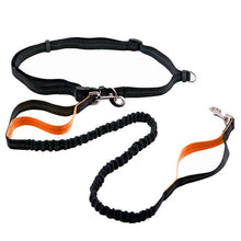 Load image into Gallery viewer, Dog Leash Reflective