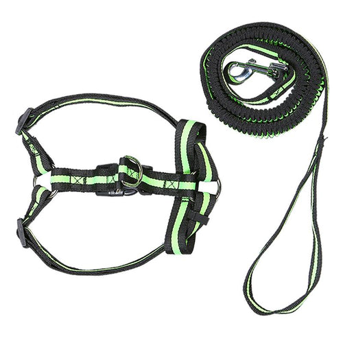Dog Harness 