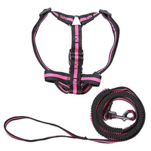 Load image into Gallery viewer, Dog Harness &quot;Stripe&quot;