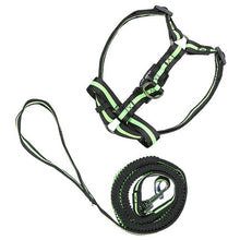 Load image into Gallery viewer, Dog Harness &quot;Stripe&quot;