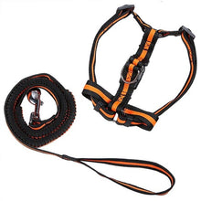 Load image into Gallery viewer, Dog Harness &quot;Stripe&quot;