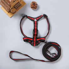Load image into Gallery viewer, Dog Harness &quot;Stripe&quot;