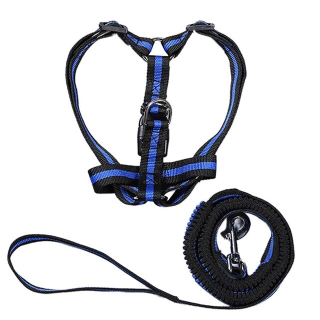 Dog Harness 
