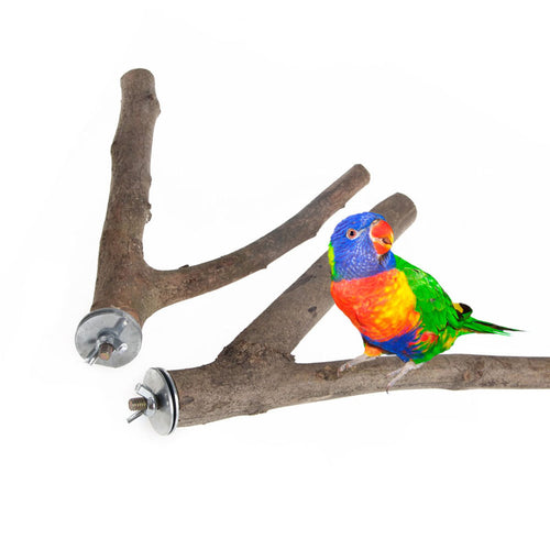Parrot Wooden Fork