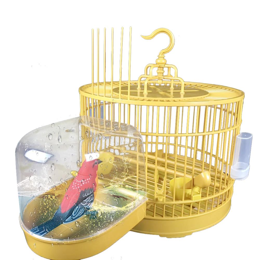 Bird Cage Shower Box